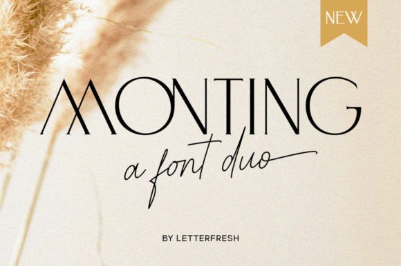 Monting Duo: A Modern Luxury Font Pairing